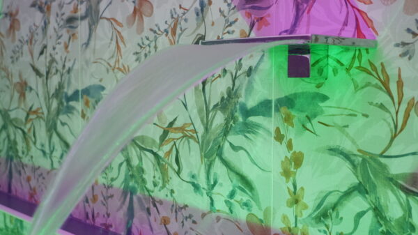 Appartamento n.5