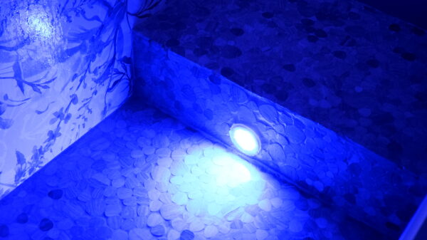 Appartamento n.5
